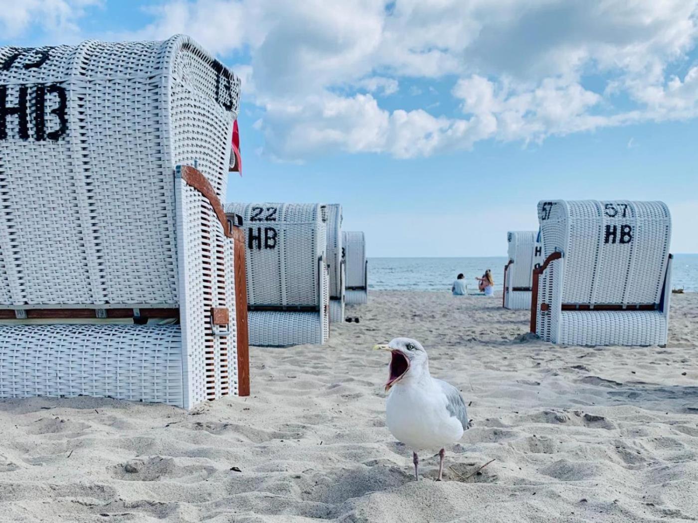 Ferienwohnung Strandstern Scharbeutz Eksteriør bilde